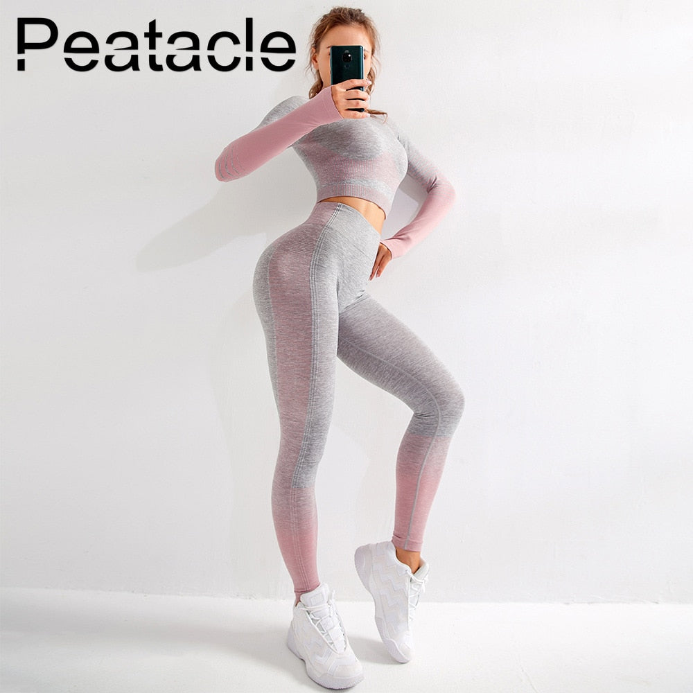 Peatacle Sexy Seamless Yoga Set 2 Piece Women High Waist Fitness Clothing Gym Clothes Sport Suit Girl Woman Sportswear 2019